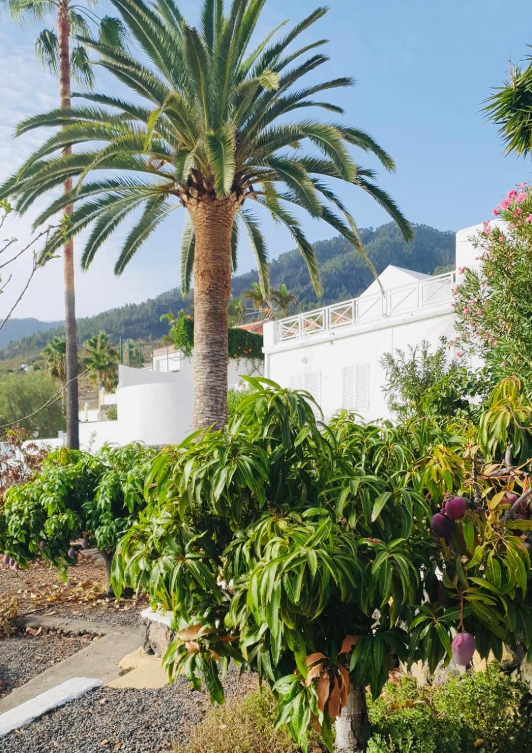 엘파소 Rural Jardines La Quinta 빌라 외부 사진